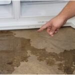 xr:d:DAFjZQSk97A:343,j:1715167133853297750,t:24031319