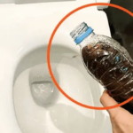 3acfa54a-2c52-4d83-bf40-433181ed014e