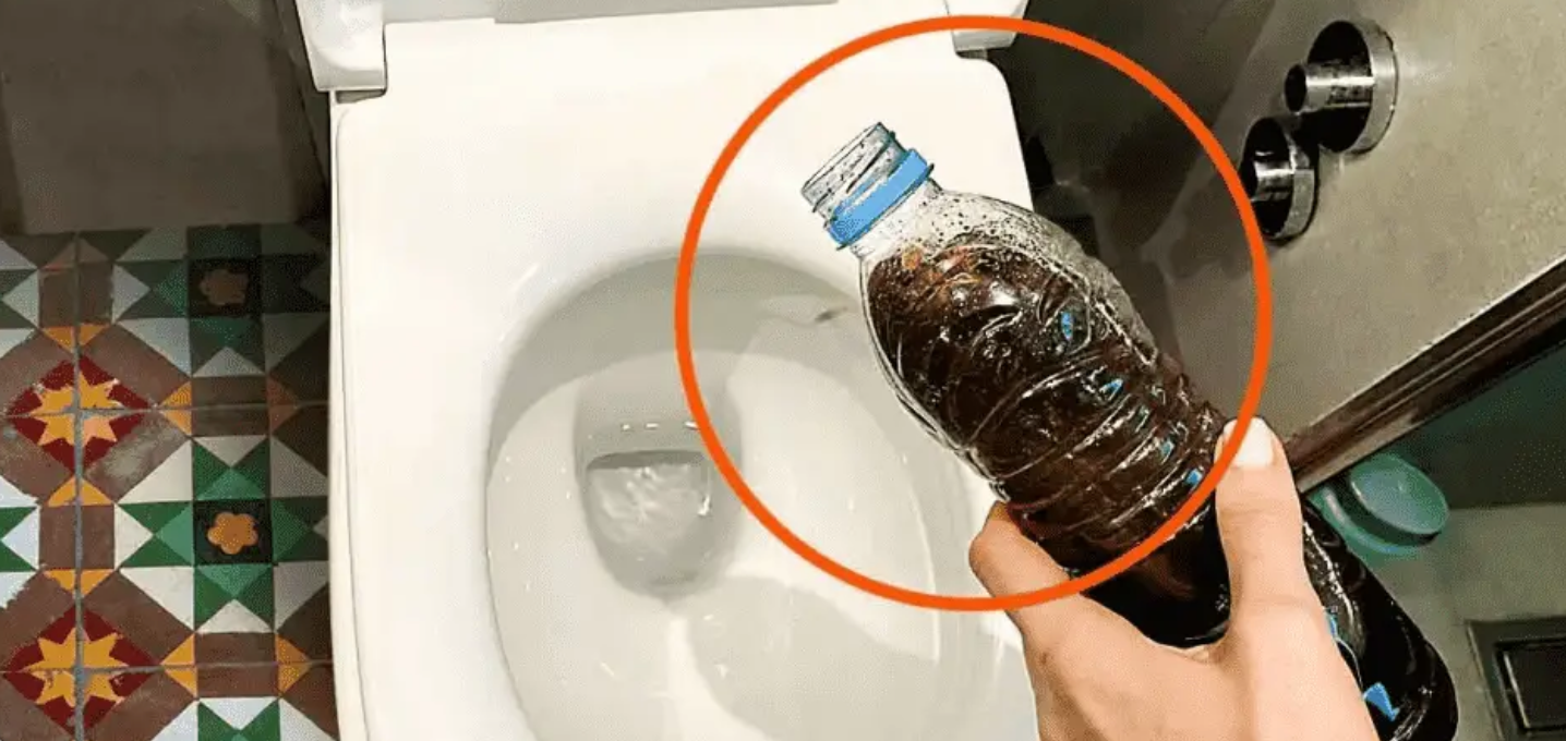 Borra de Café: Usos Criativos para Casa e Jardim