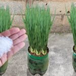 541c29e7-6b25-444b-86df-79316ef34d35-1