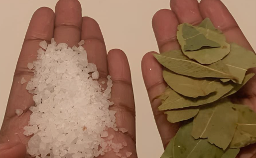 Louro e Sal: Bem-Estar e Limpeza Natural