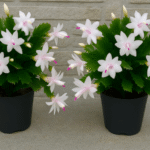 65aa087d-7fa5-48e2-9ad6-95793a50fec1