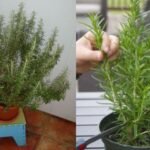 b8418e72-d158-4180-812b-4a72a5405433-2