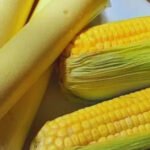 ec4d1a5b-8b0c-4577-b8b4-3efbe5ed753f-2