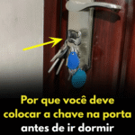 Chave na Porta: Reforço Simples para Segurança Doméstica 17407be5-a4ec-450e-bf16-027d242d24cb