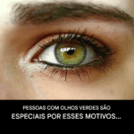 3b5722ef-b164-4524-854d-34a08eed3430-1