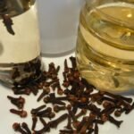 Cravo-da-Índia para Pele: Benefícios e Usos na Rotina de Beleza 3c88edc1-34eb-4fc9-b543-a502d8e73887
