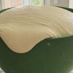 77e02d2c-3ec6-445e-ba9f-6faa5ac33b19