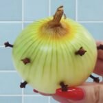 O Segredo da Vovó: Cravos na Cebola – Um Repelente Natural Eficaz e Econômico 9e4c43d1-8cd7-4889-924d-8cfb9123a345-1