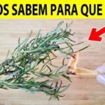 Alecrim em Casa: Muito Além do Tempero, um Aliado para o Bem-Estar e a Energia do Lar a23a0e63-eb82-4dc2-800e-69772c011b8c-1