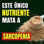 acb6a1ce-ca2c-4944-bde5-644a9692cabc