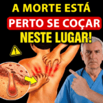 afa14af0-301d-403a-88b7-3d052ab8790d