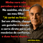 Sabotagem Familiar: Superando a Traição e Reconstruindo a Vida c749bcd0-41b1-4bb3-a86e-845373a7998d