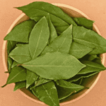 Folhas de Louro: 7 Benefícios da Queima e Uso Medicinal 56061c48-14d8-49fa-9904-8eee833b076d