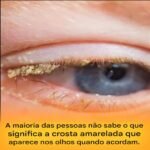 ac60dd32-6ff4-441e-84a2-78be530da07b