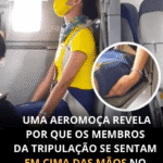 Por que Comissários de Bordo Sentam Sobre as Mãos? Por que Comissários de Bordo Sentam Sobre as Mãos?