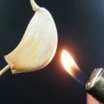 Alho Queimado: Benefícios Terapêuticos e Modo de Uso c38703fb-5eec-448a-863e-121ee0f39222