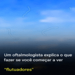 Moscas Volantes: Entenda o que são e Quando Preocupar Moscas Volantes: Entenda o que são e Quando Preocupar
