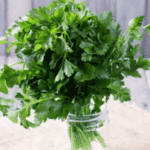 Conservar Salsa e Coentro: 6 Métodos para Ervas Frescas cf11d67d-b233-482c-bf60-11d87d3cada4