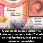 f858672f-9cf3-4fce-9ab1-8229b44a3ac2