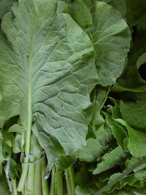 Couve: Mitos e Fatos Sobre Este Superalimento