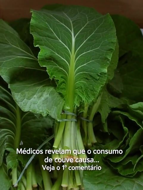 Médicos Revelam o Impacto da Couve no Seu Corpo: Você Precisa Saber Disso Antes de Comer Novamente!