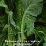 MÉDICOS ALERTAM featured-1782874410401
