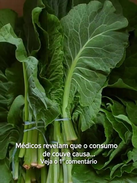 Médicos revelam que o consumo de Couve Causa Efeitos Inesperados! Veja agora o 1º Comentário e descubra!