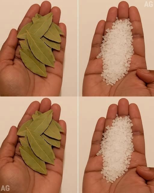 Louro e Sal: Sua Avó Tinha Razão! 🌿🧂