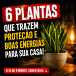 6 Plantas que Trazem Proteção preview-1788311735998